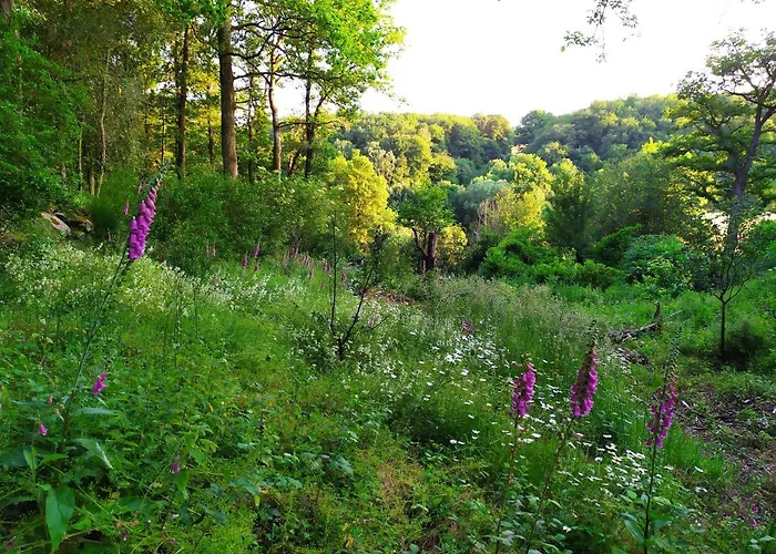 La Cabane Des Beaux Chenes